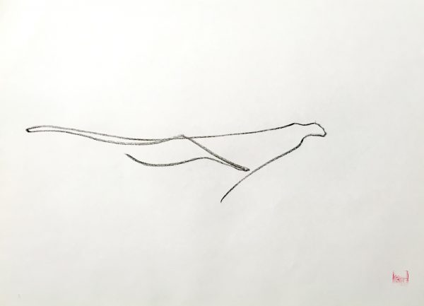 Cheetah c