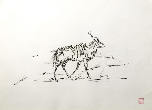 Nyala a