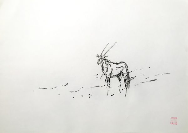 Oryx b