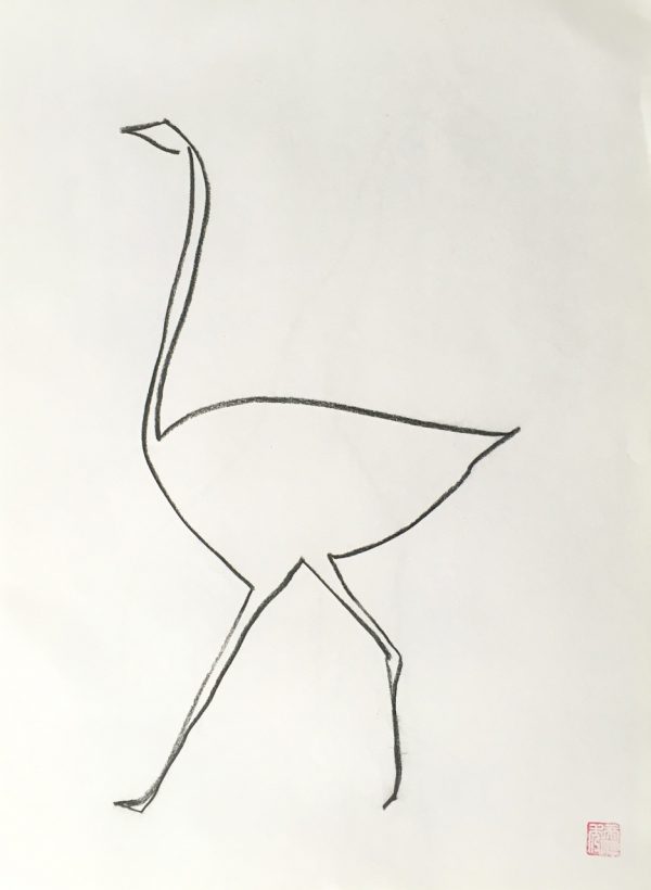 Ostrich b